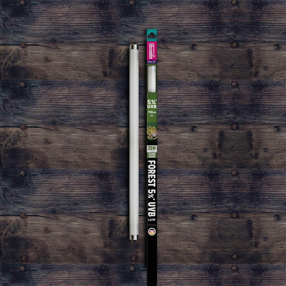Arcadia Euro-Range Forest 5% T8 UV Tube