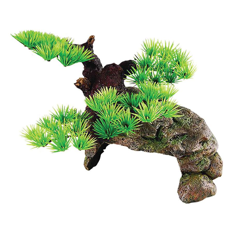 Repstyle Bonsai with Rock Cave