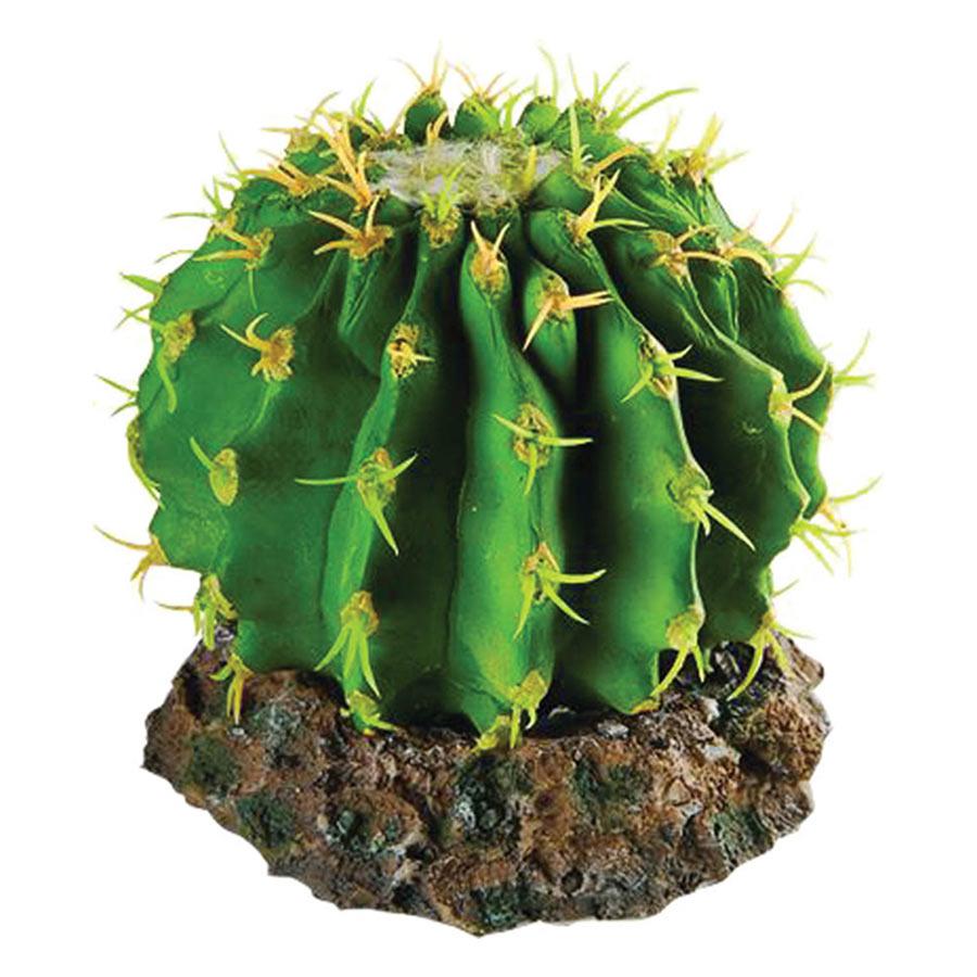 Repstyle Cactus with Rock Base