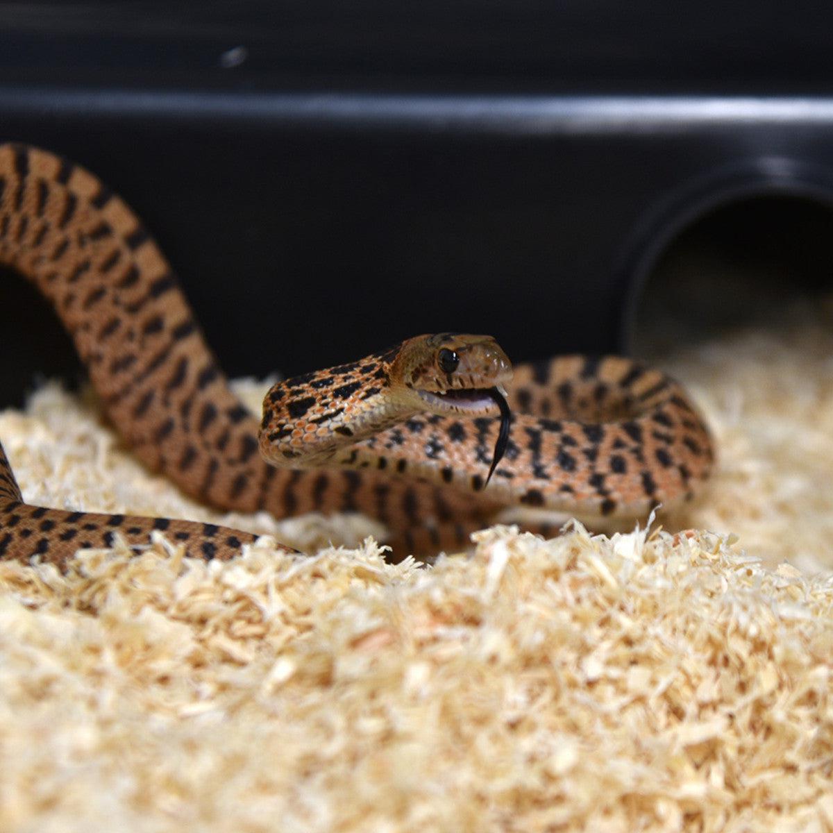 Habistat Lignocel Snake Bedding