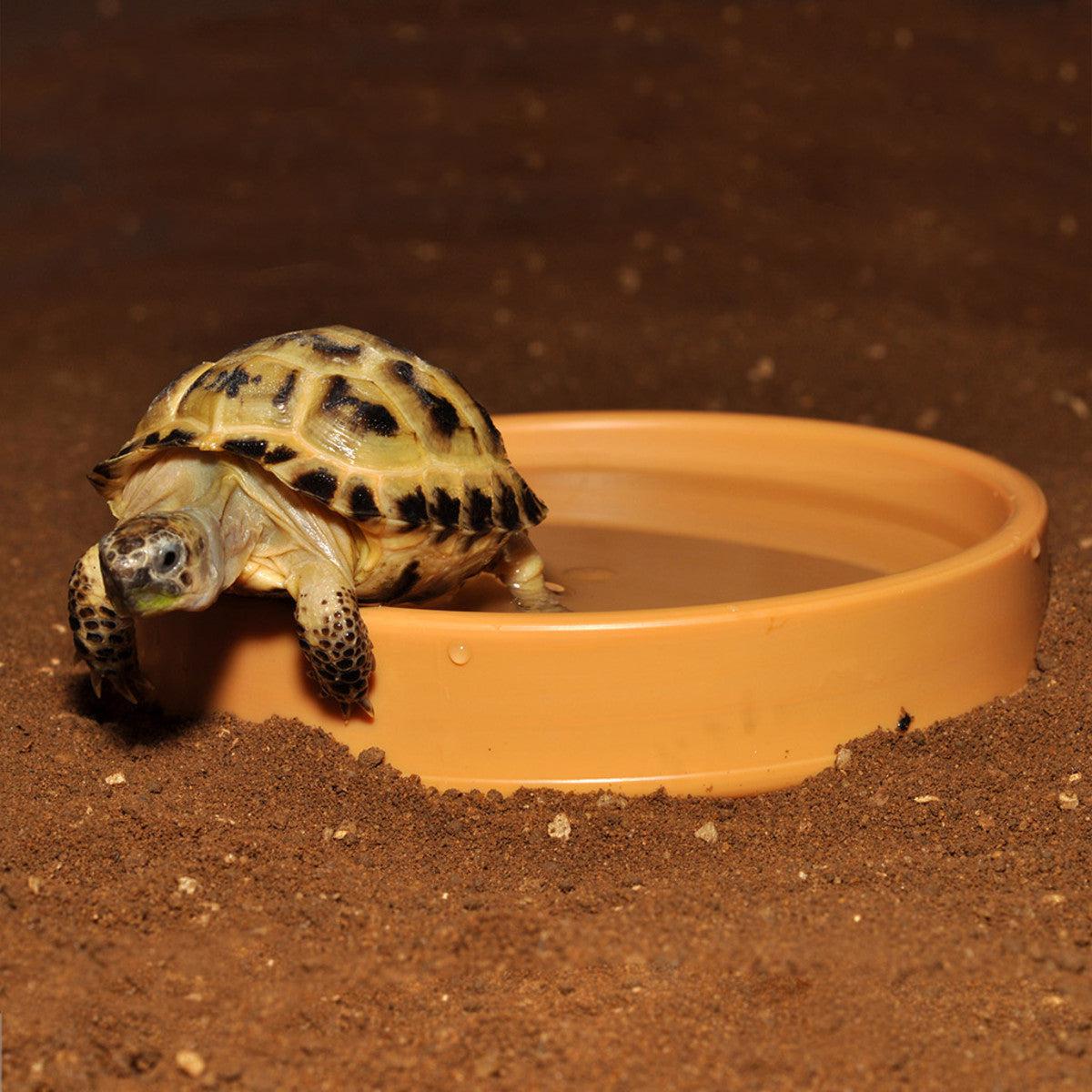 HabiStat Plastic Shallow Water Bowl