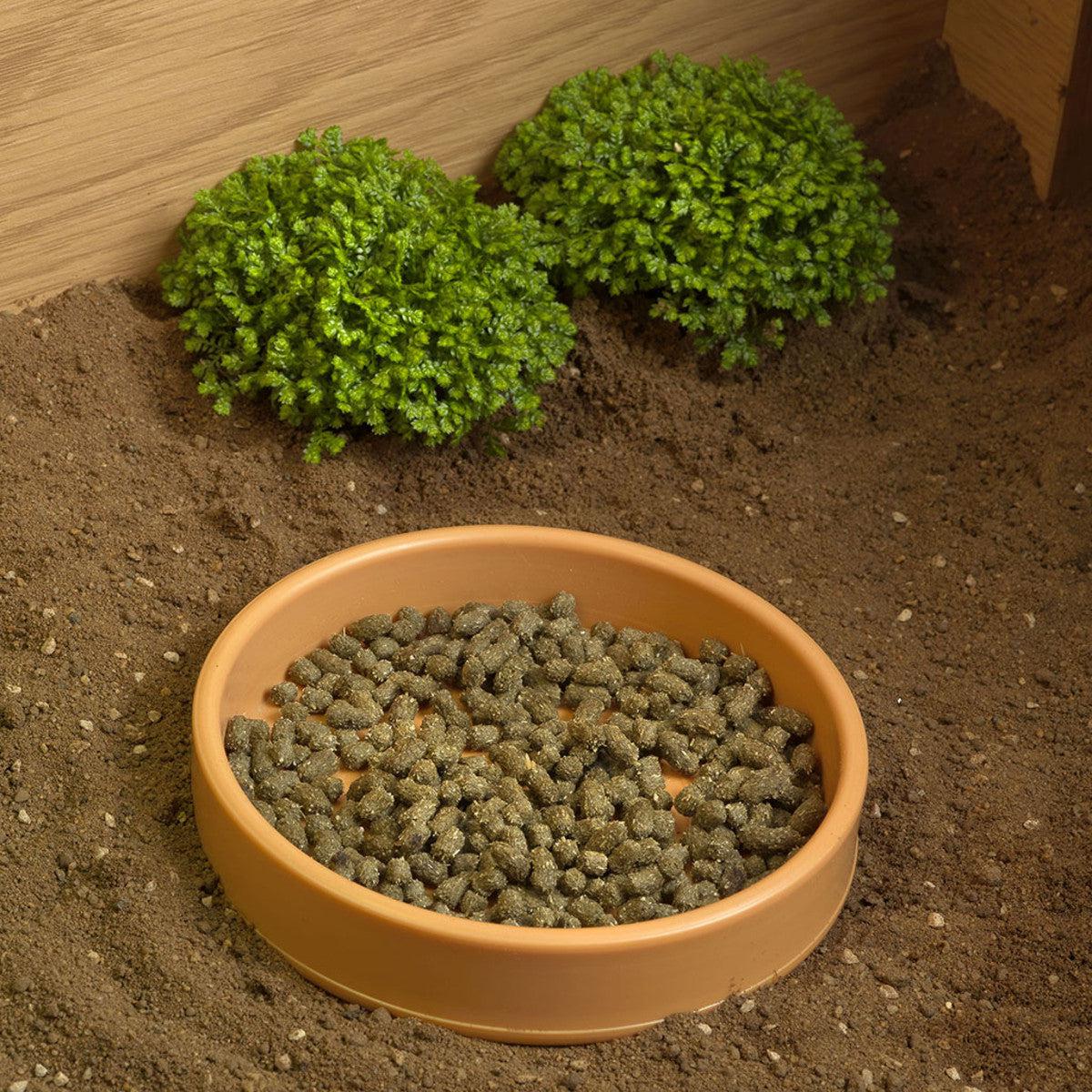 HabiStat Plastic Shallow Water Bowl