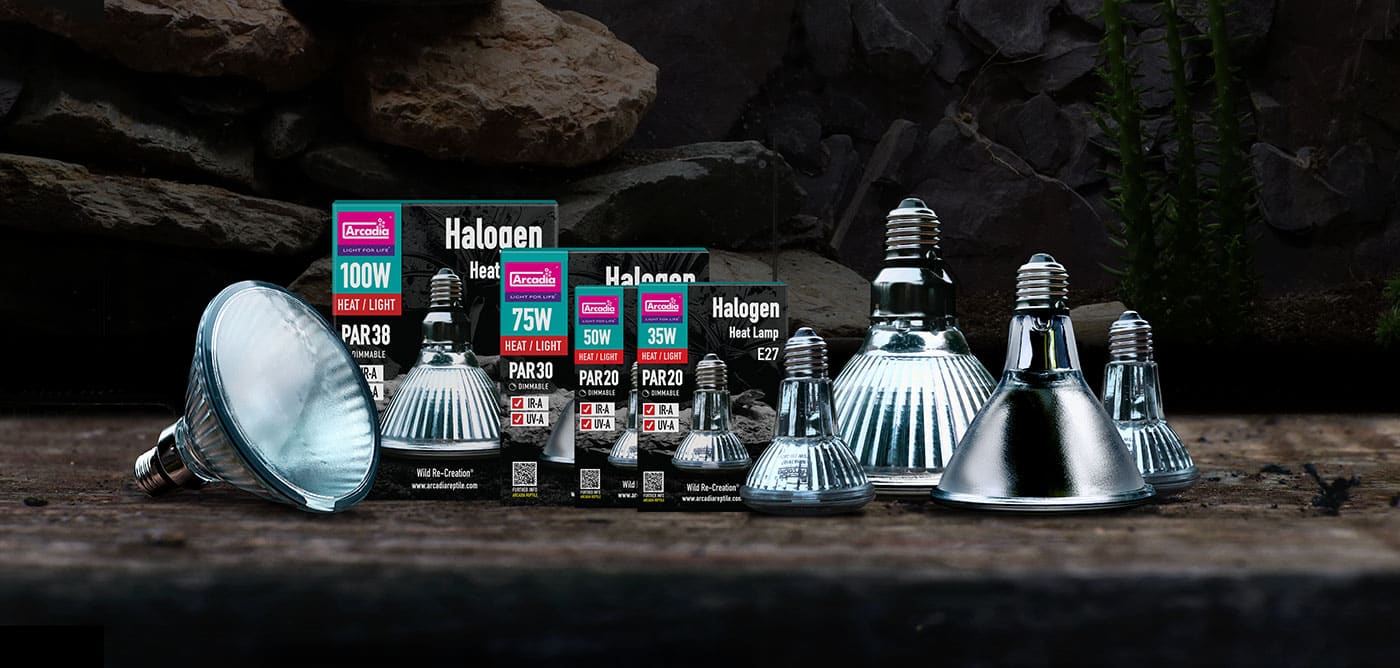 Arcadia Halogen Basking Spot Lamp