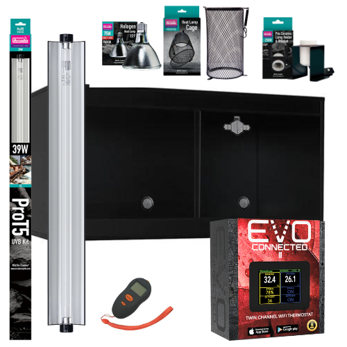 Bearded Dragon Starter Kit (Platinum)