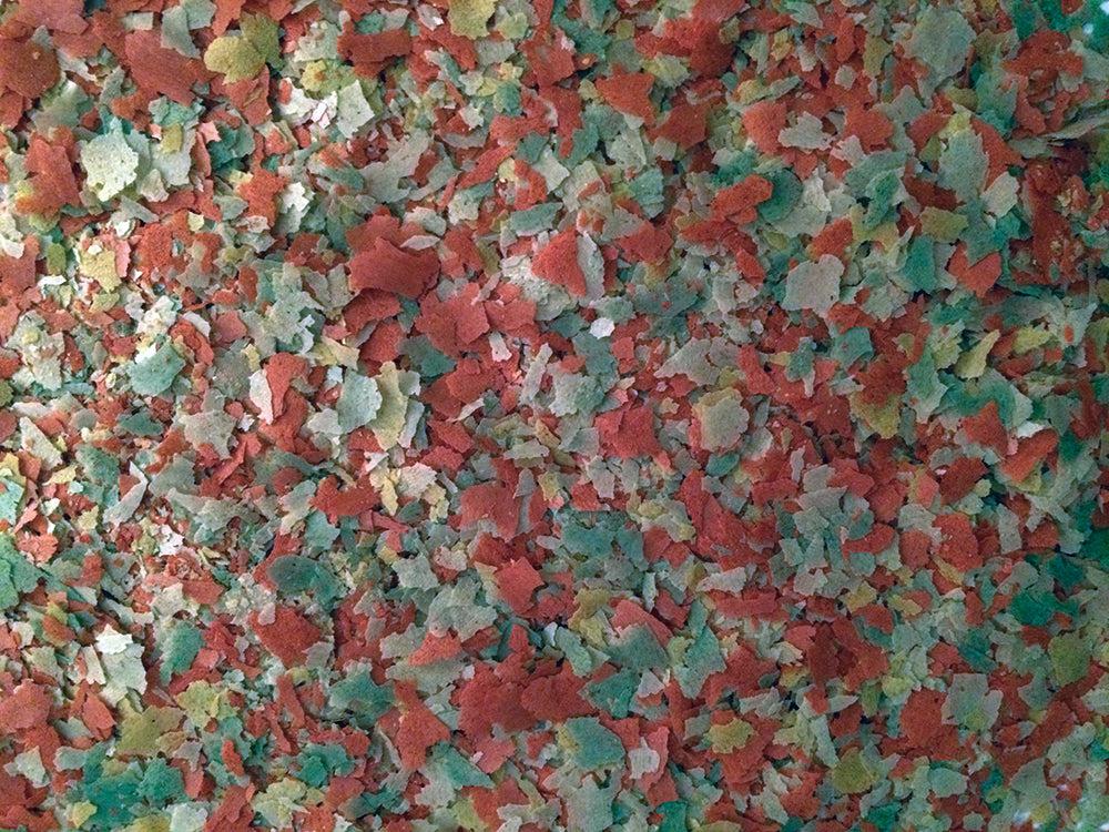 Fish Science Pond Flakes - DATED FEB 2026