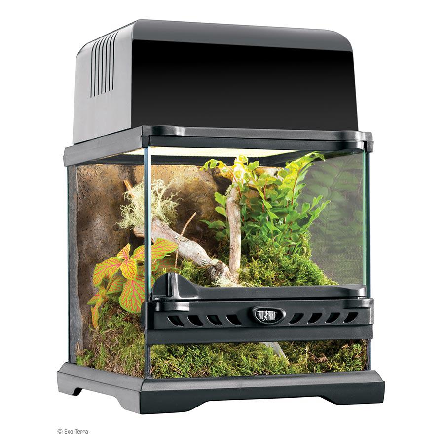Exo Terra Glass Terrarium (20cm Wide) Nano