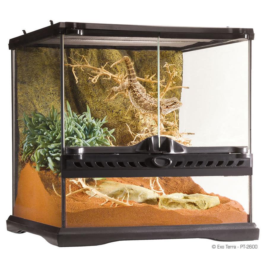 Exo Terra Glass Terrarium (30cm Wide) Mini - COLLECTION ONLY