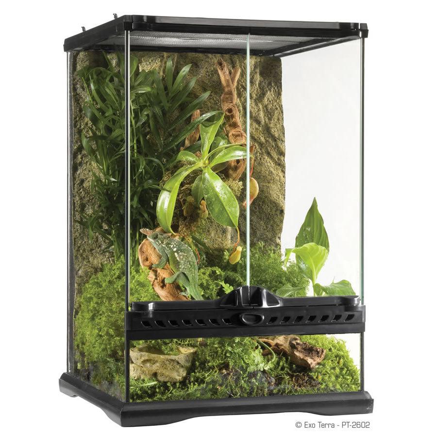 Exo Terra Glass Terrarium (45cm Wide) Small - COLLECTION ONLY