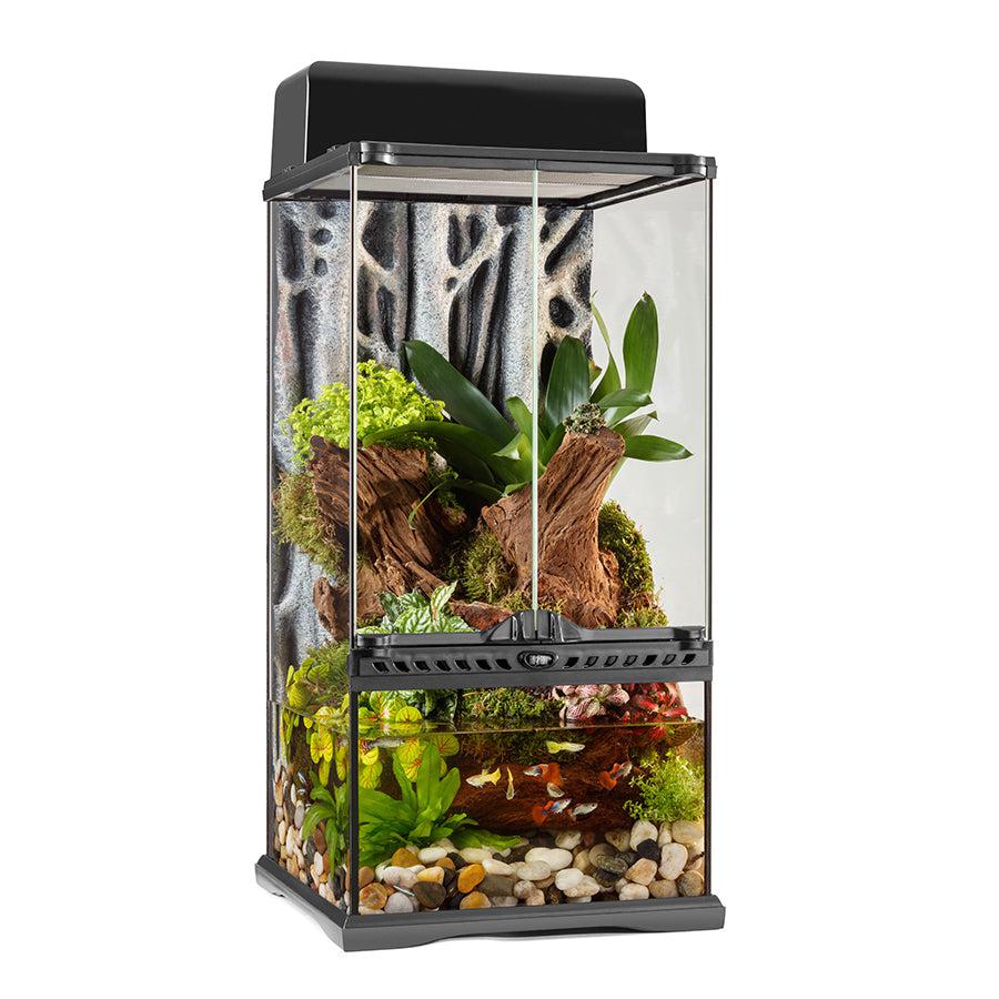 Exo Terra Glass Terrarium (30cm Wide) Mini - COLLECTION ONLY
