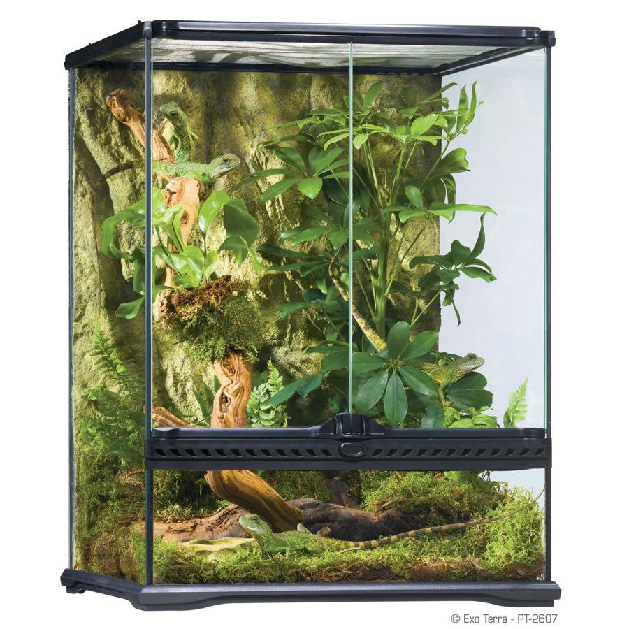 Exo Terra Glass Terrarium (60cm Wide) Medium - COLLECTION ONLY