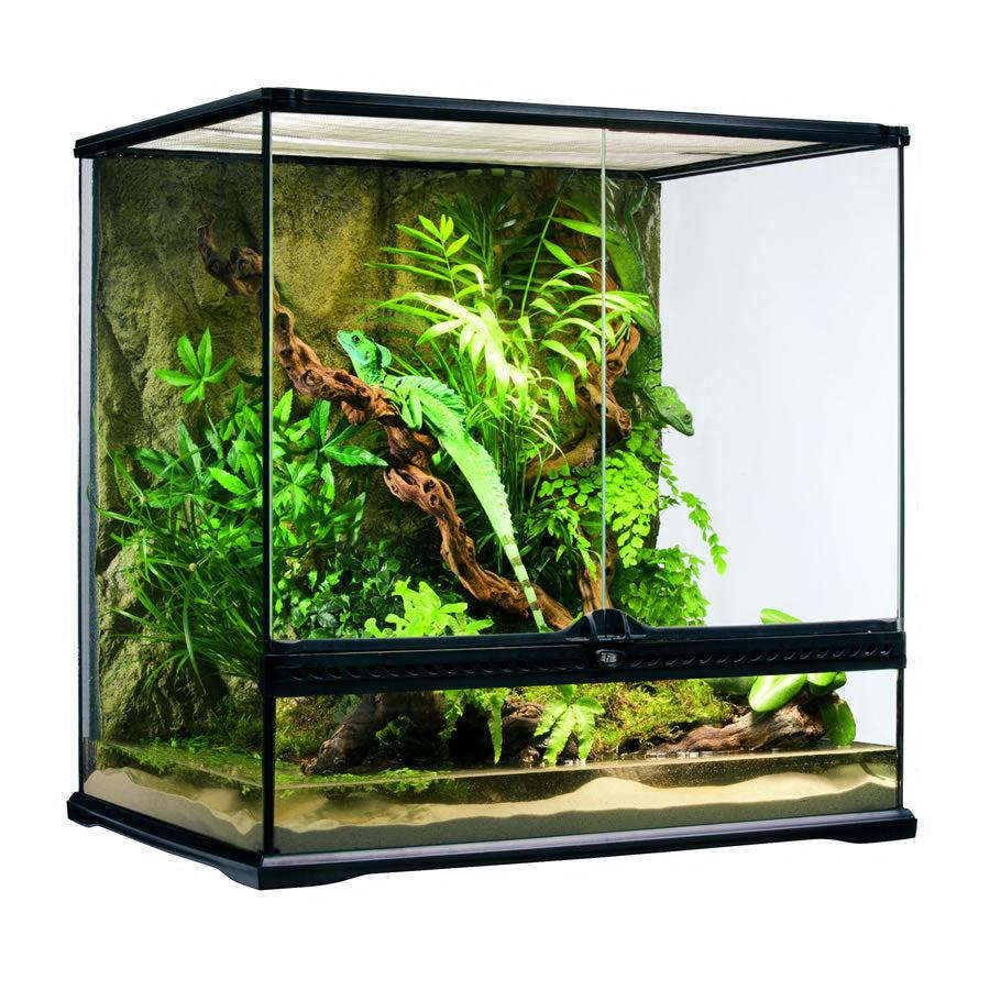Exo Terra Glass Terrarium (60cm Wide) Medium - COLLECTION ONLY