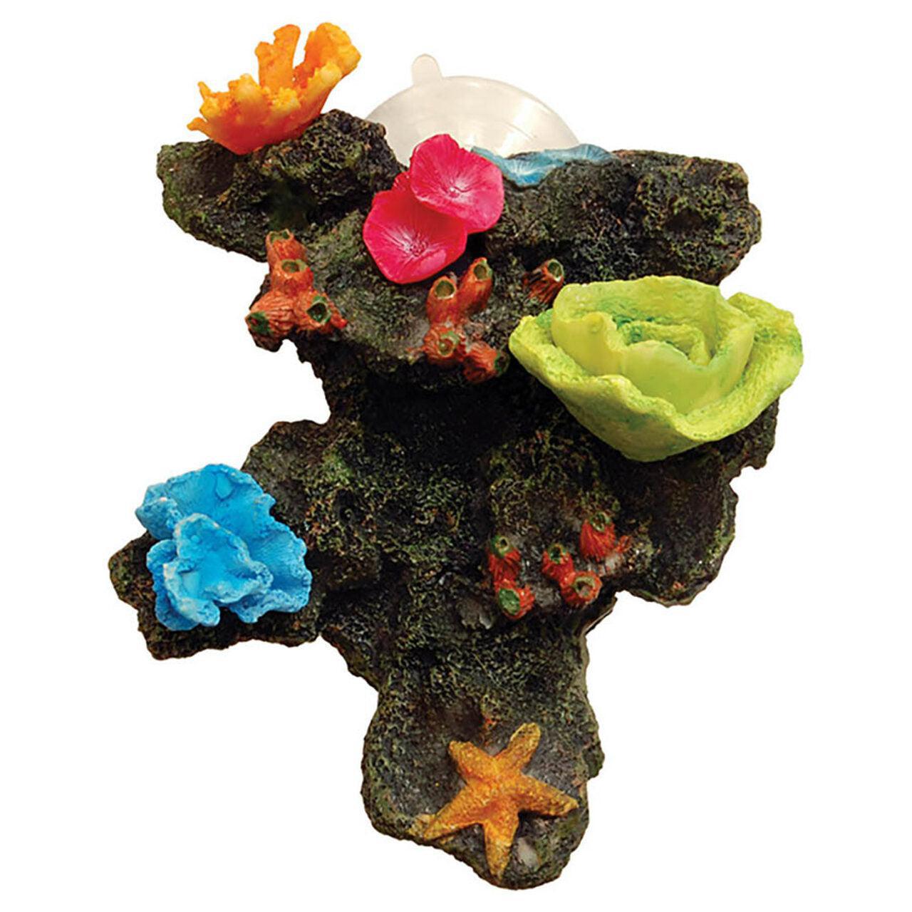 AquaSpectra Sucker Mounted Reef