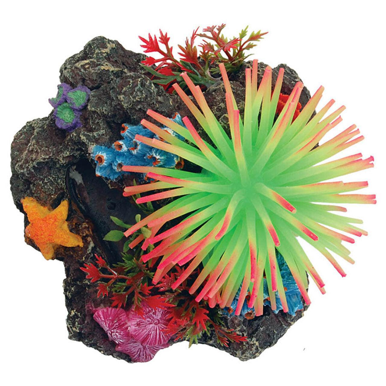 AquaSpectra Sucker Mounted Reef