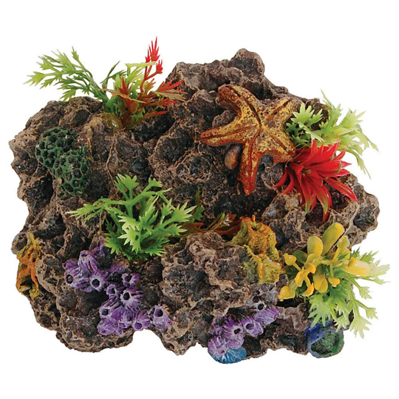 AquaSpectra Sucker Mounted Reef