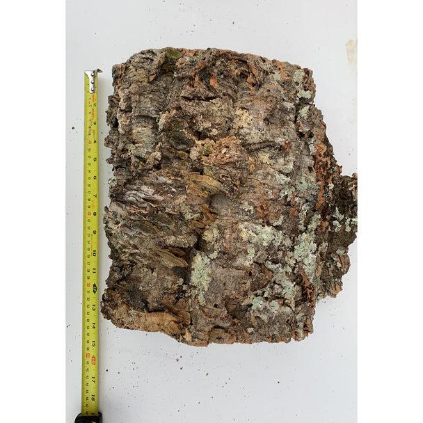 Komodo Habitat Cork Bark
