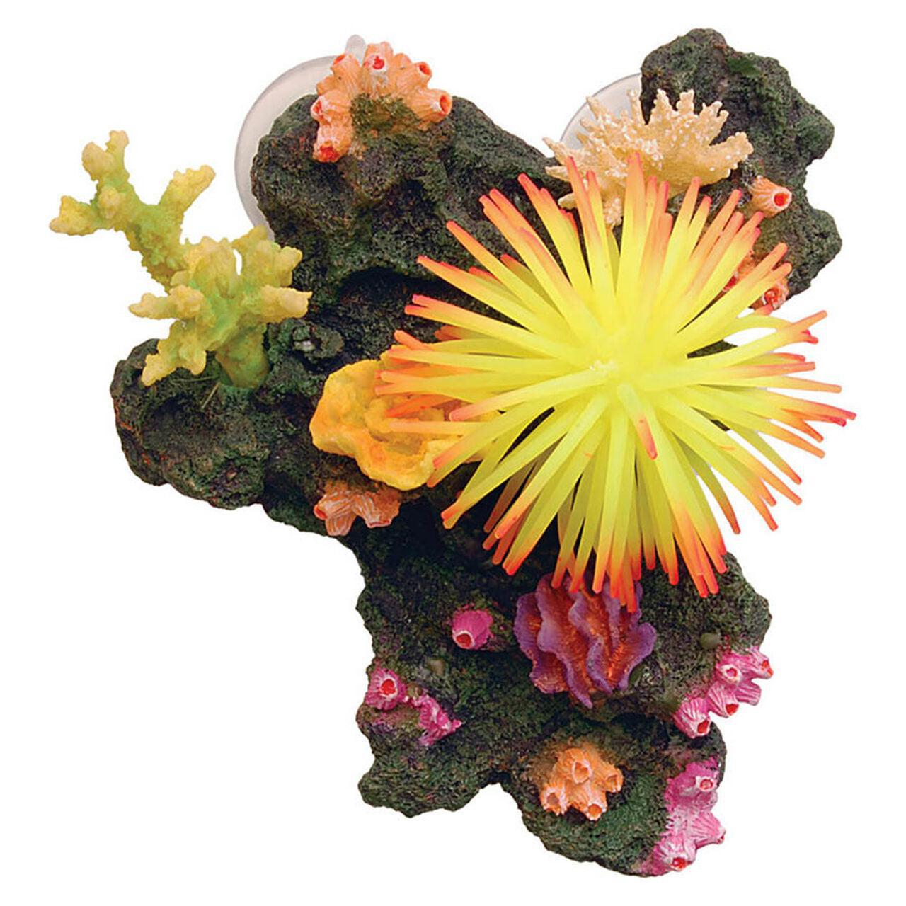 AquaSpectra Sucker Mounted Reef