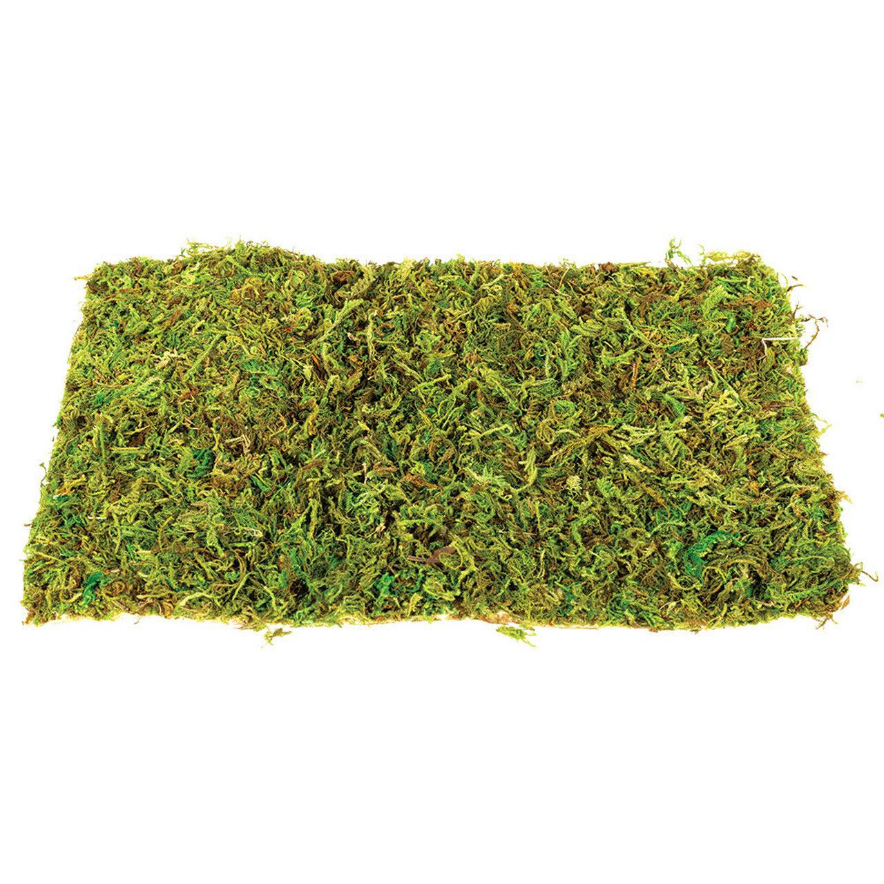 Komodo Natural Moss Mat