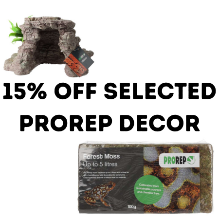 Promotions: ProRep Decor