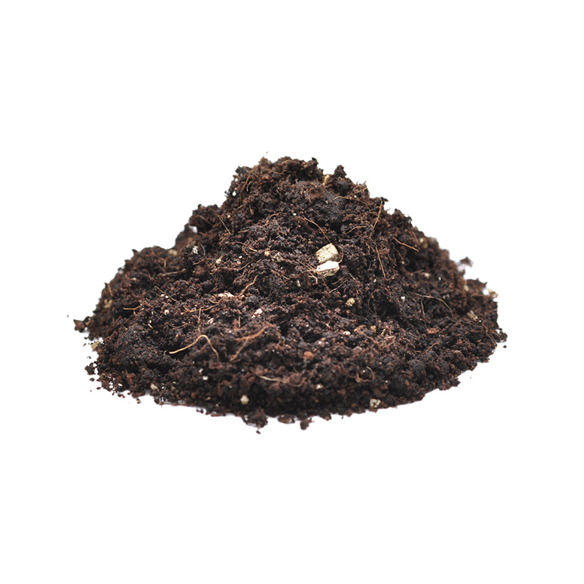 Spider substrates |Next Day Delivery |Internet Reptile