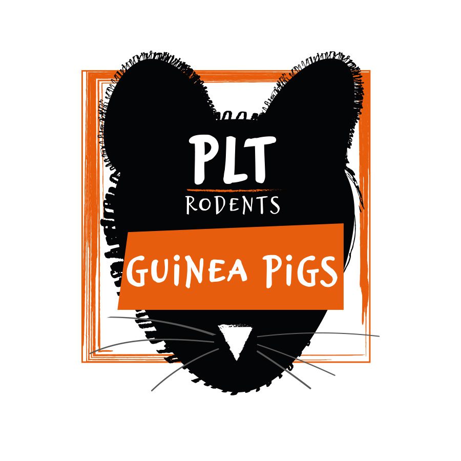 PLT Frozen Guinea Pig