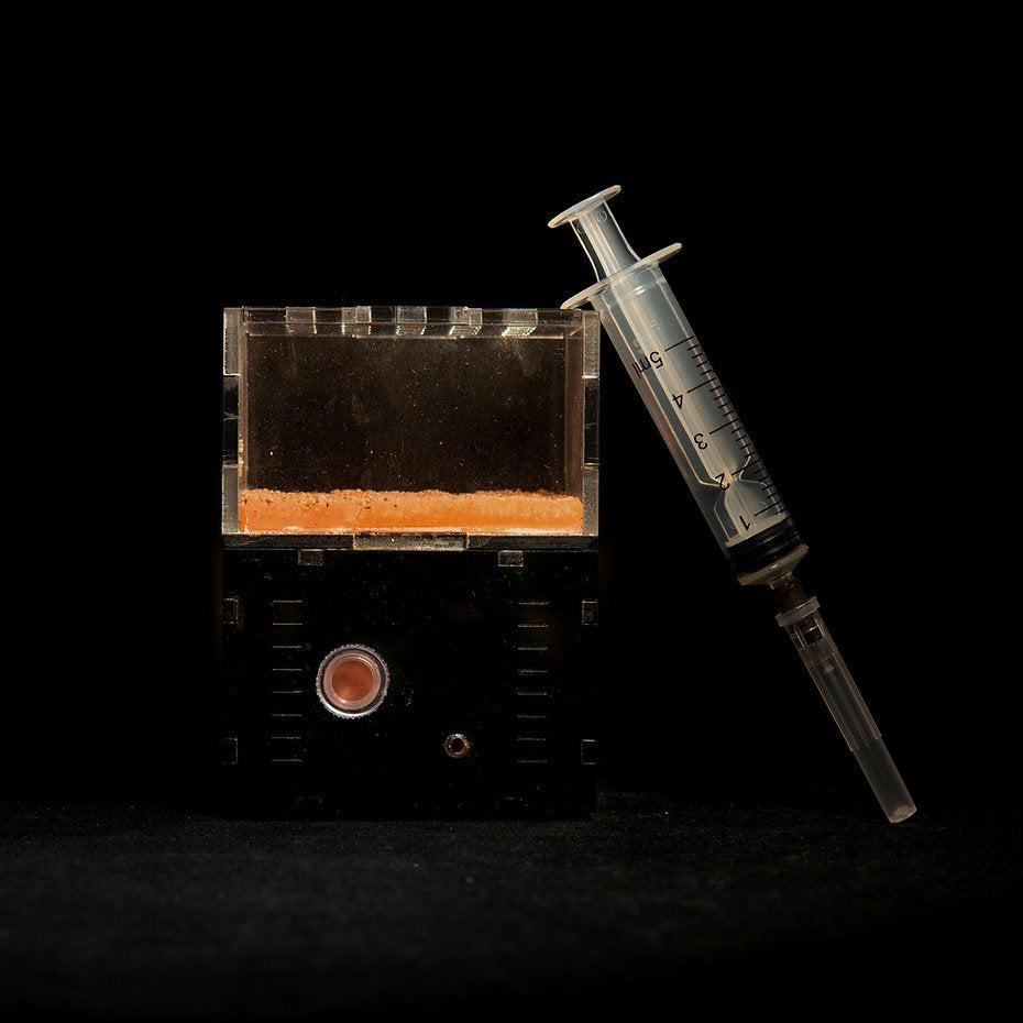 AntsHQ Myrmeco Nano Starter Nest