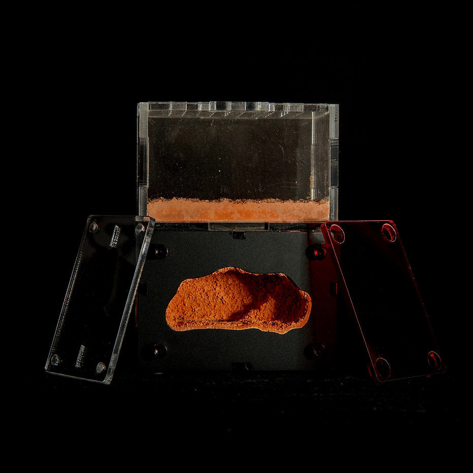 AntsHQ Myrmeco Nano Starter Nest