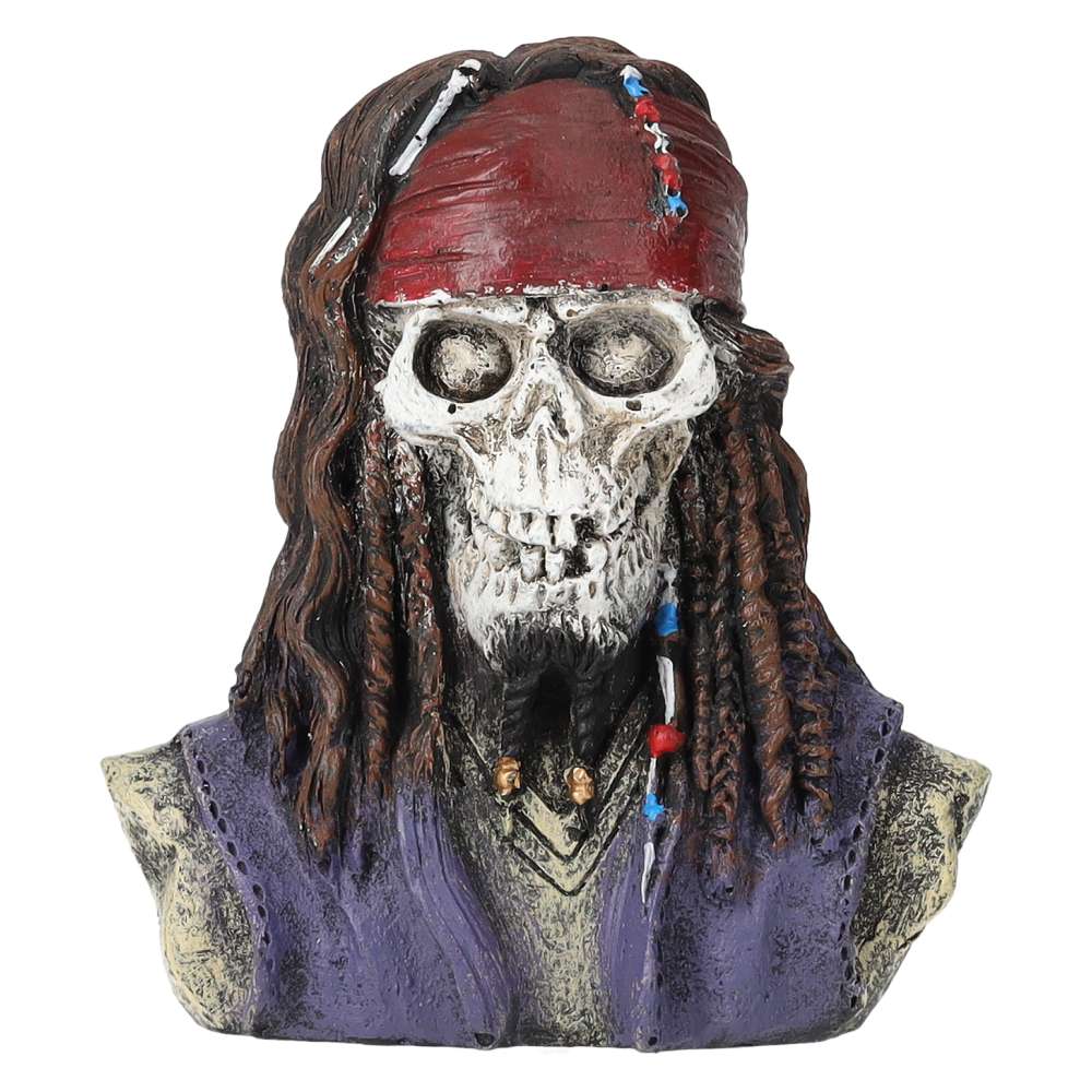 Aquaspectre Caribbean Pirate Skull 10x65x120mm