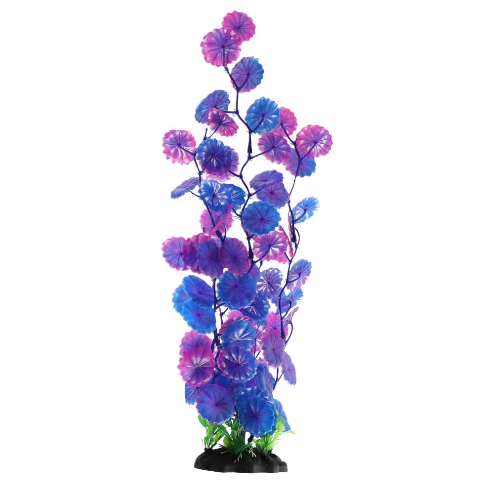 Aquaspectre Moneywort Purple