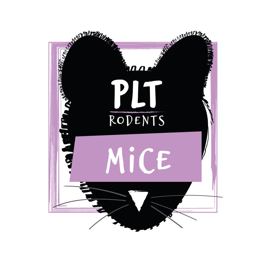 Frozen Mice (Pack Sizes - Delivery Available)