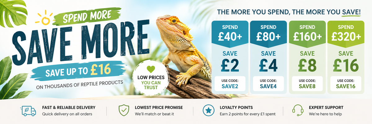 Leading Online Reptile Shop | Next Day Delivery | Internet Reptile