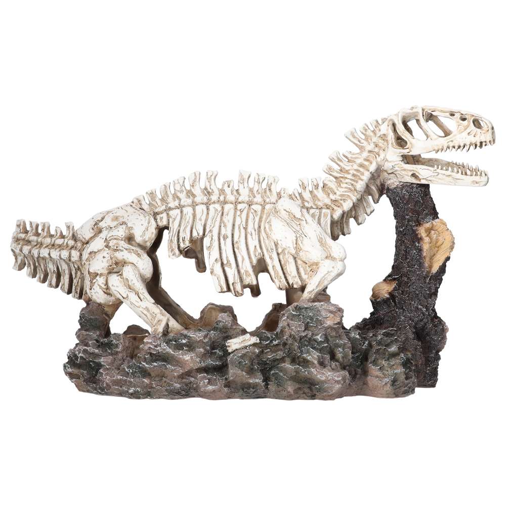 ProRep Dinosaur Skeleton Allosaurus 58x22x34cm