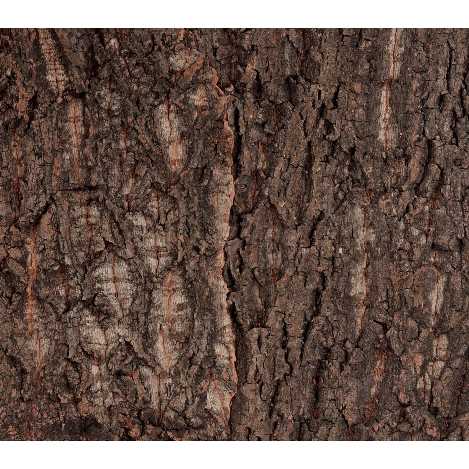 Natural Cork Tile Background