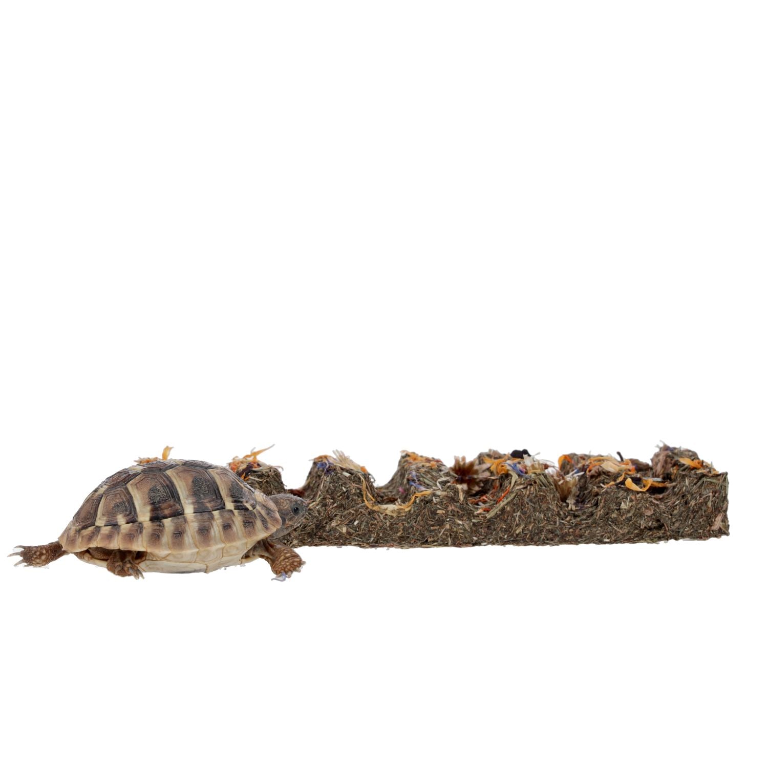 ProRep Tortoise Flower Foraging Bar 45g