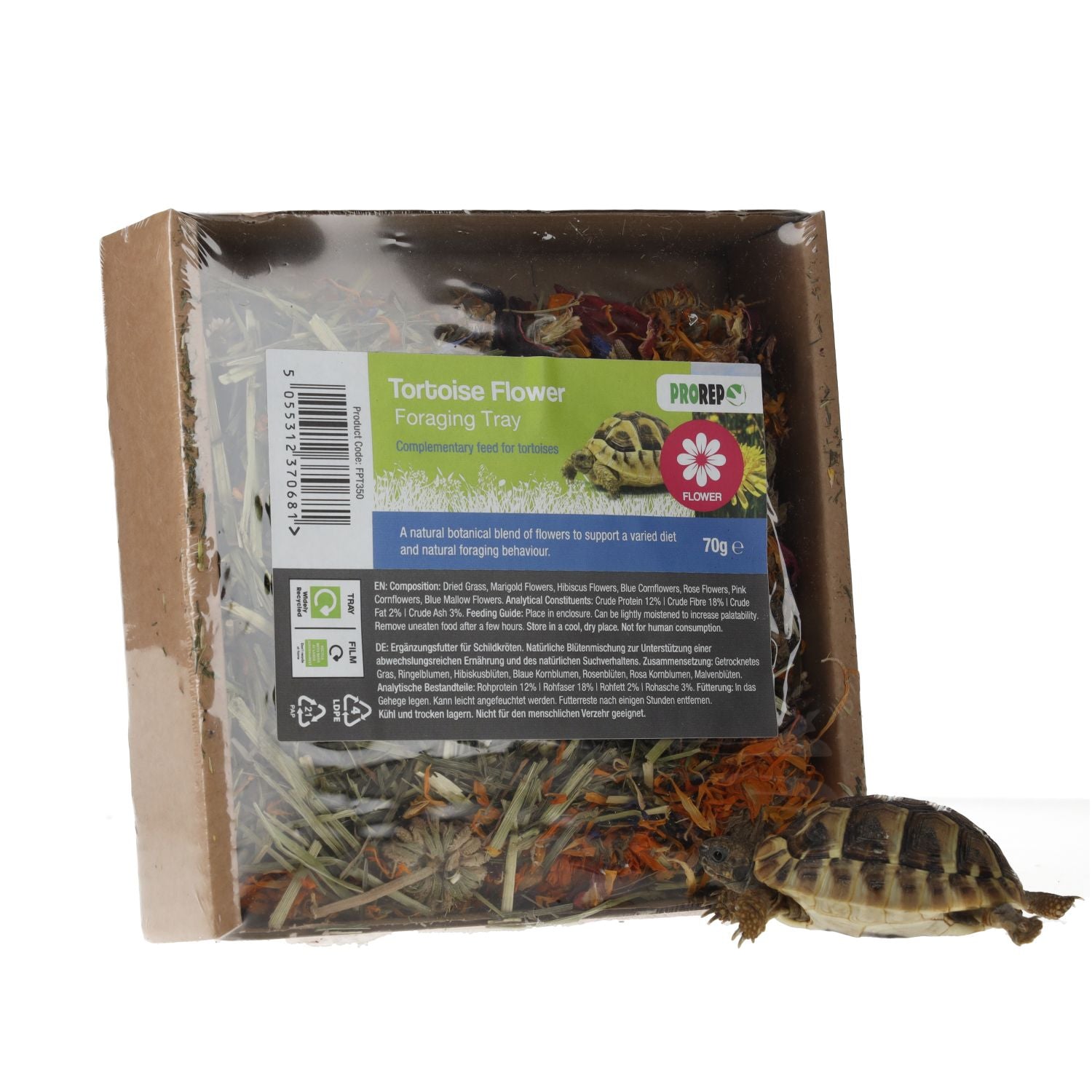 ProRep Tortoise Foraging Tray 70g