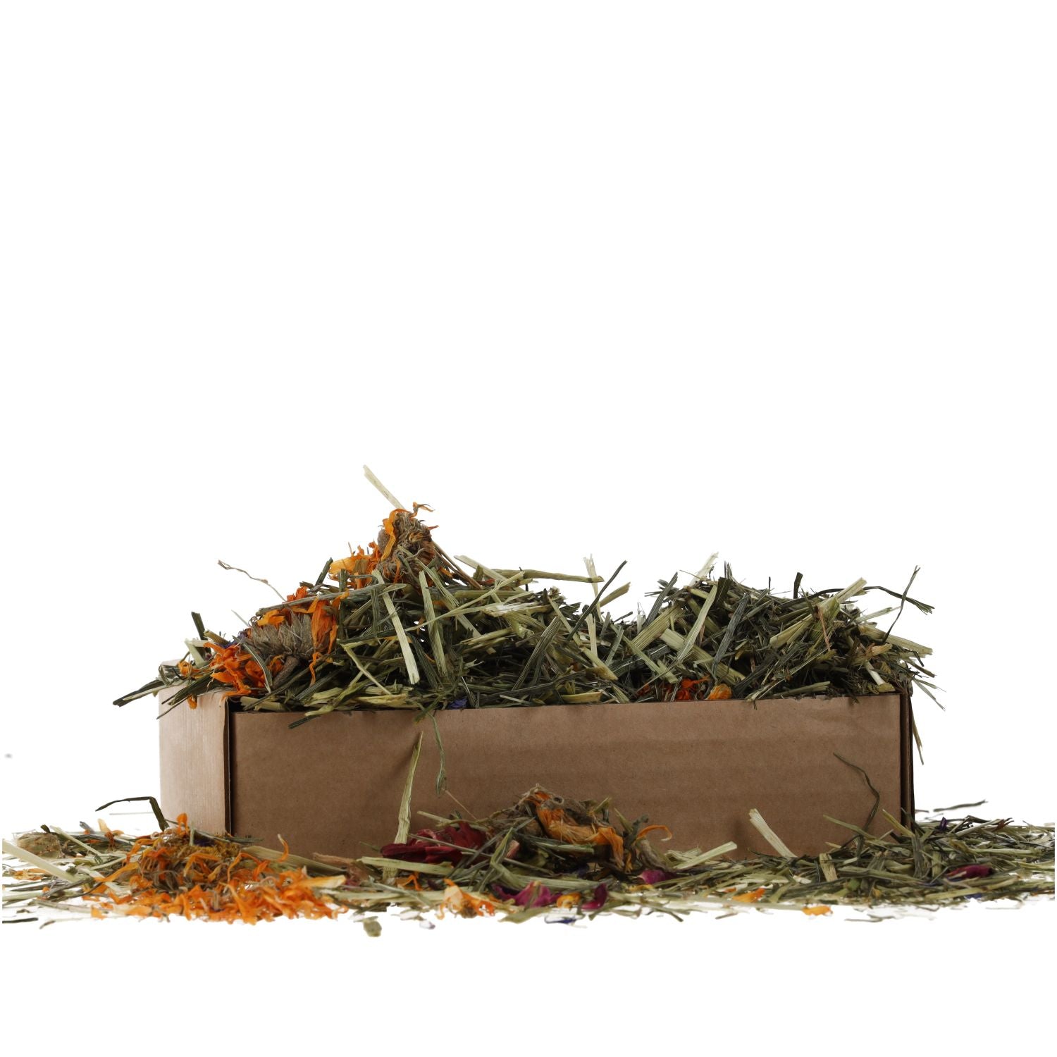 ProRep Tortoise Foraging Tray 70g