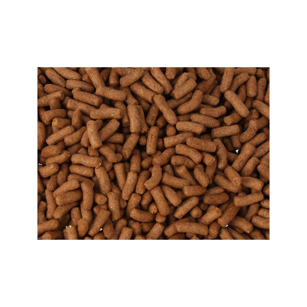 Tropical Biorept Supreme Adult 70g product image 2