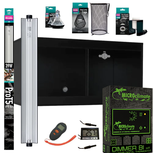 Bearded Dragon Starter Kit Gold Home for Life Vivarium