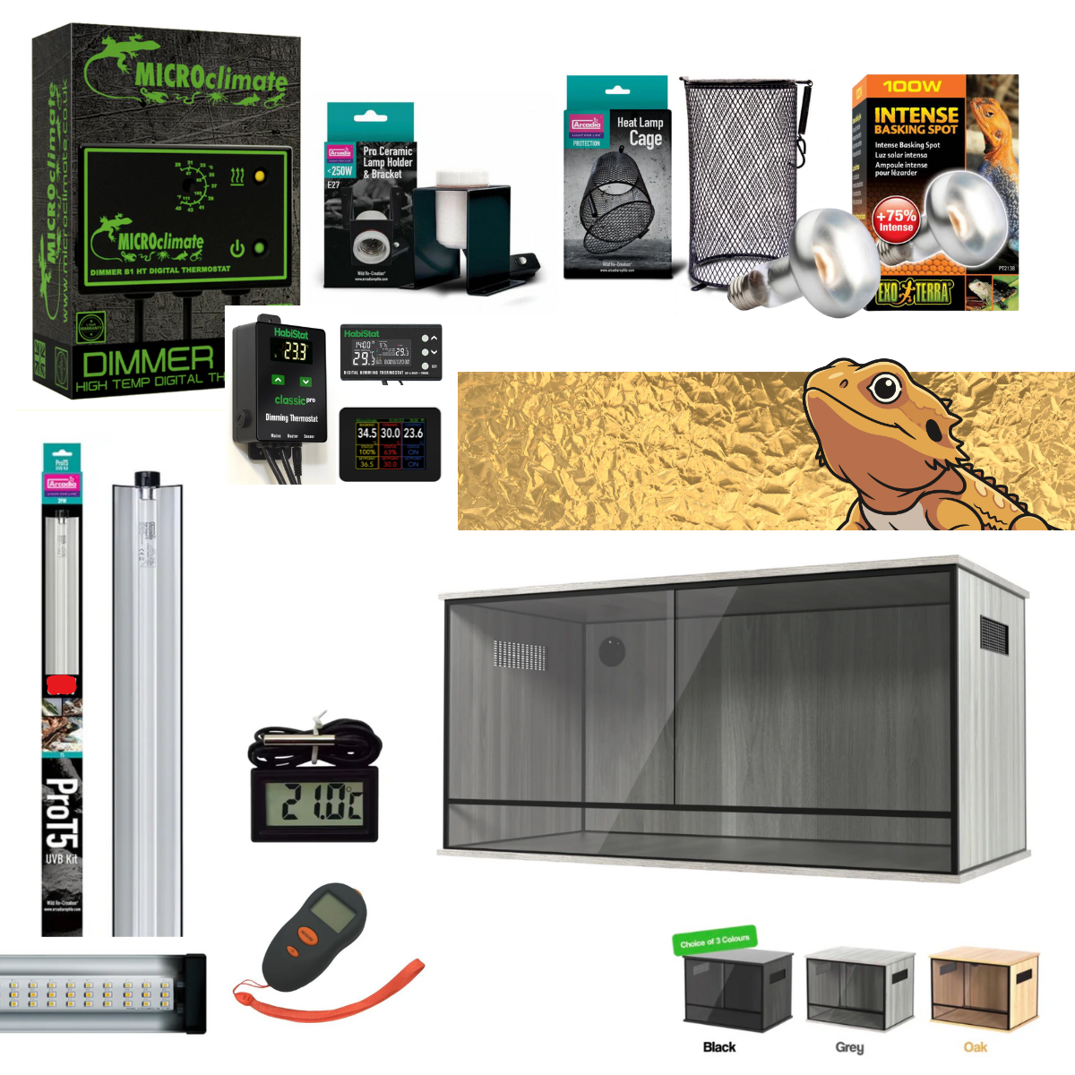 Bearded Dragon Starter Kit (Gold)