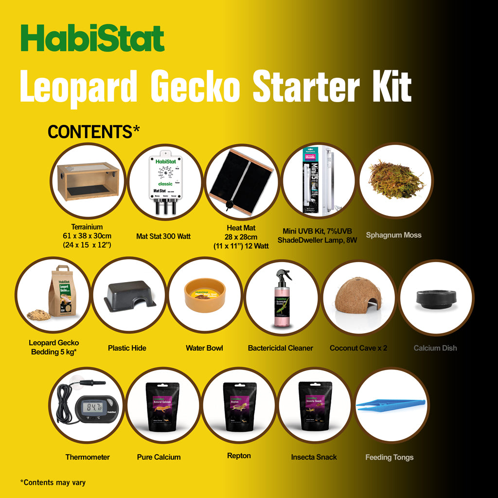 HabiStat Leopard Gecko Starter Kit - Juvenile (61x38x30cm)