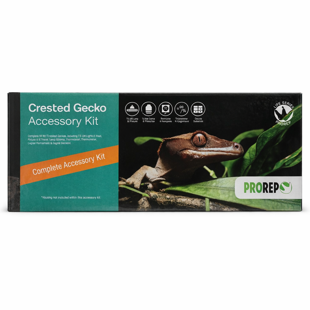 Crested Gecko Starter Kit UVB Heat Setup | ProRep Kit