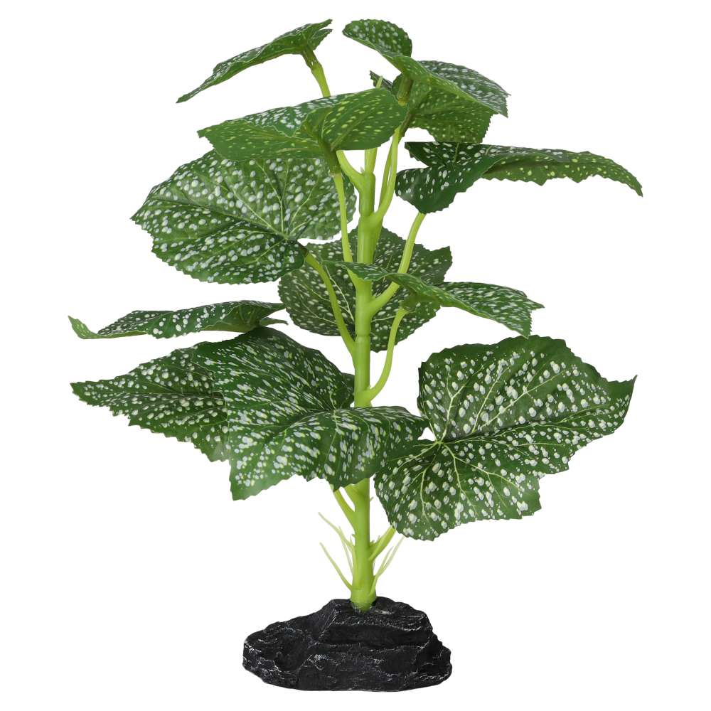 ProRep Terrestrial Begonia Polka Dot 27cm