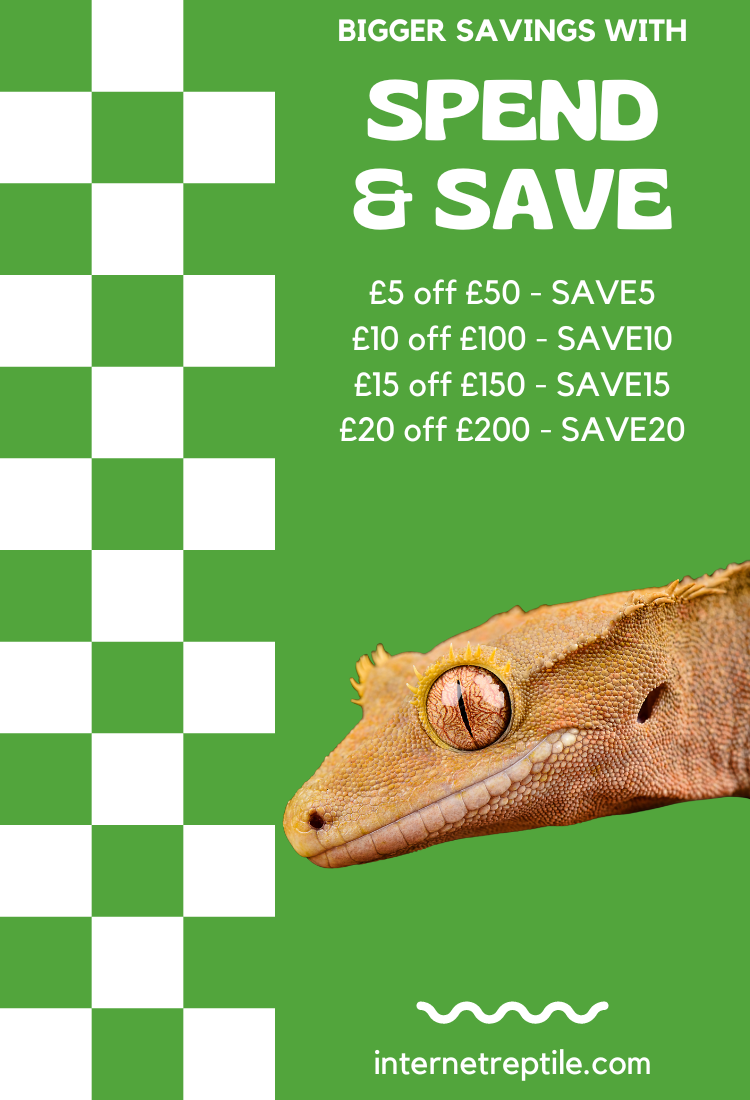 Leading Online Reptile Shop Next Day Delivery Internet Reptile