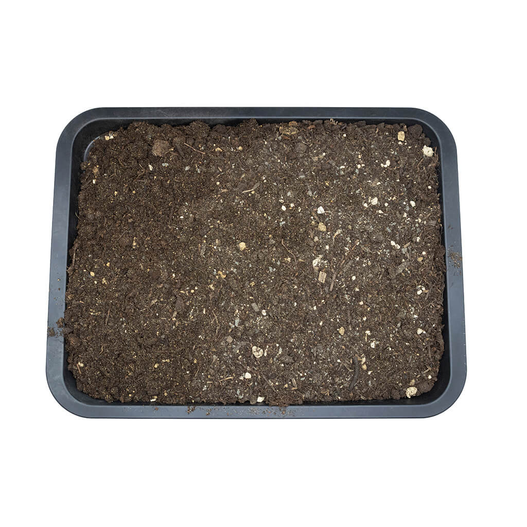 Arcadia EarthMix Bioactive Substrate (Tropical, Arid & Prairie) – Reptile Soil