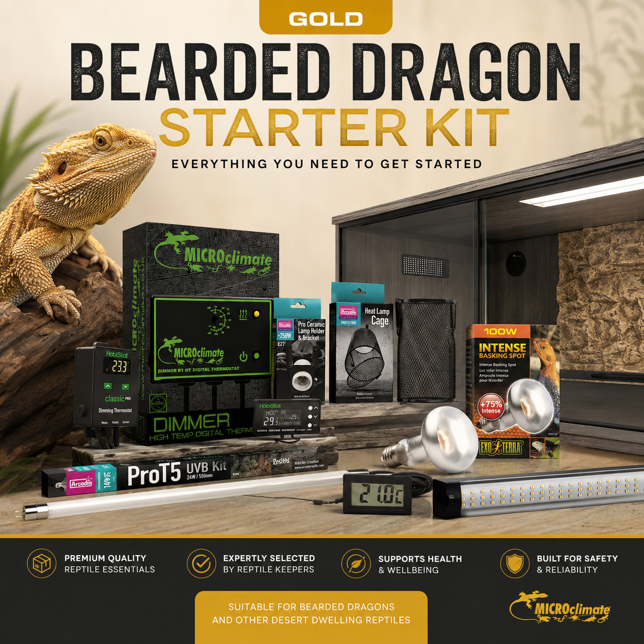 Bearded Dragon Starter Kit Gold