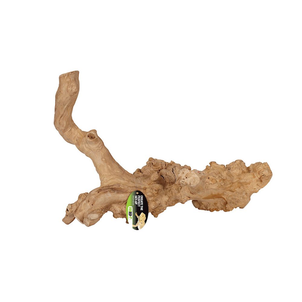 PR Java Reptile Branch, Extra-Large