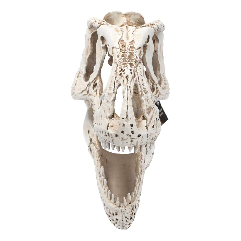 PR XL T-Rex Skull 38.5x18x28cm DPS065