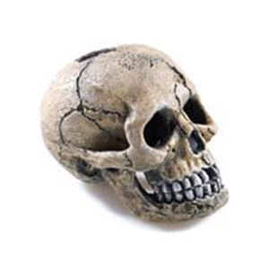Classic Spooky Skull 105mm
