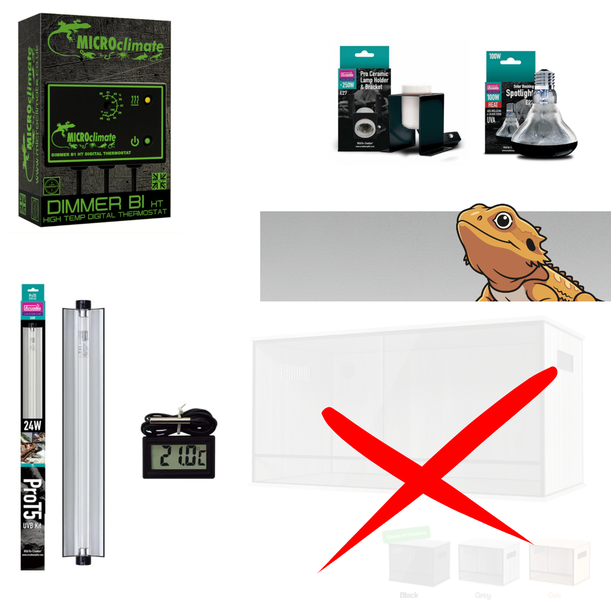 Bearded Dragon Starter Kit (Silver)