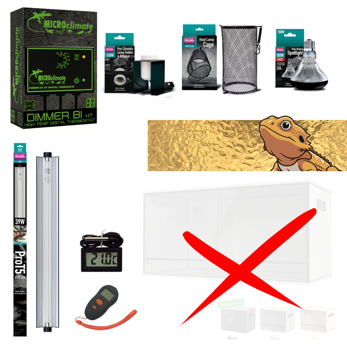 Bearded Dragon Starter Kit (Gold)