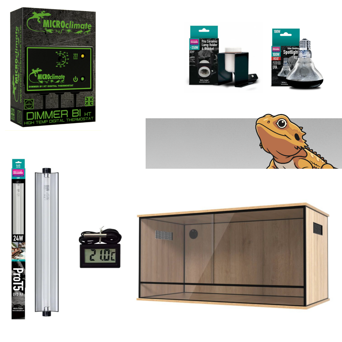 Bearded Dragon Starter Kit (Silver)